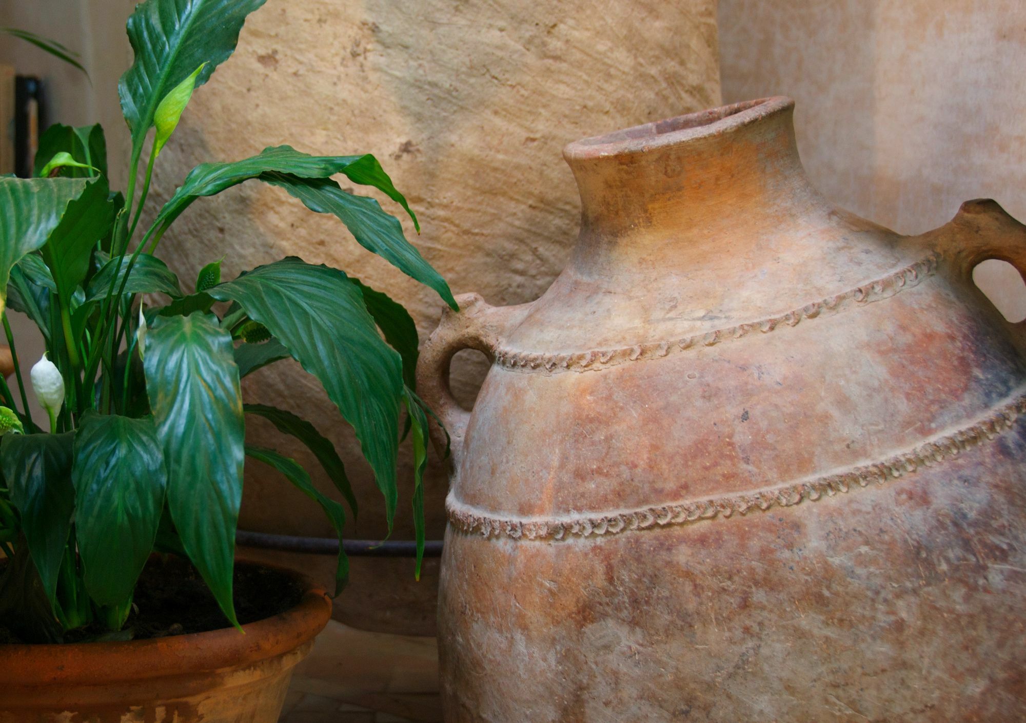 Dar Housnia Hotel Marrakesh Buitenkant foto